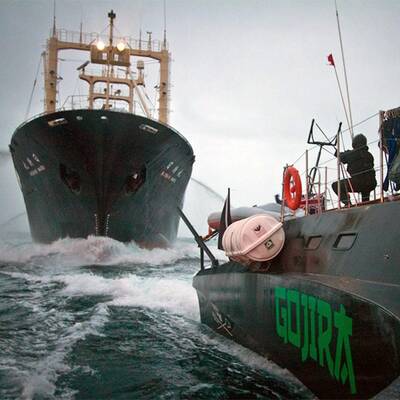 Umweltschützer stoppen Walfänger