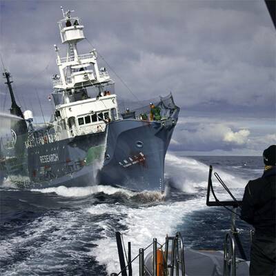 Umweltschützer stoppen Walfänger