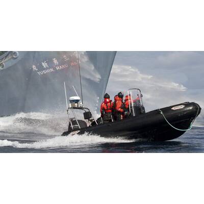 Umweltschützer stoppen Walfänger