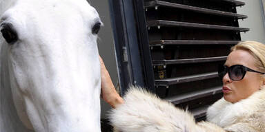 Sheridan vergeblich im Reitoutfit in der Hofreitschule