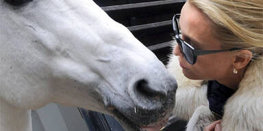 Sheridan vergeblich im Reitoutfit in der Hofreitschule