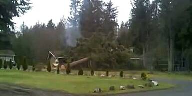 Mann fällt Baum: Baum kracht auf Haus