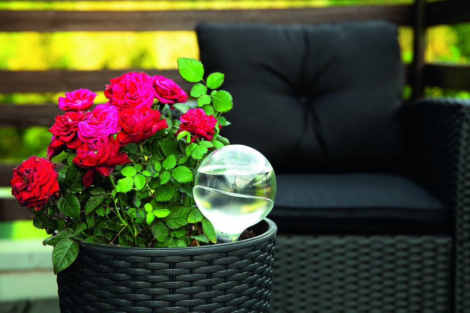 Gartenbewässerung: Tipps für die Sommerzeit