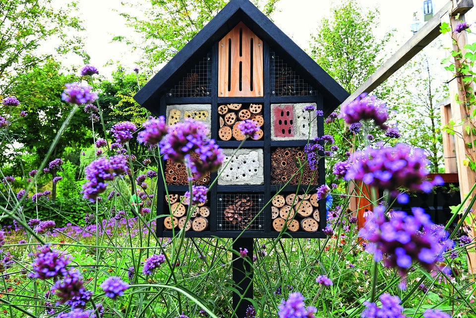 Das große Schlaraffenland für Bienen, Schmetterlinge & Co