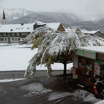 Schoppernau, Vorarlberg, 850m