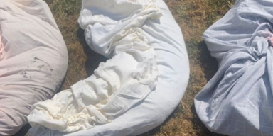 Feuer-Hölle: Sieben Hunde mit Benzin übergossen und verbrannt