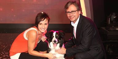 Show-Hund gewinnt die Große Chance