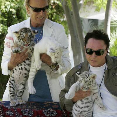 Fünf neue Tiegerbabys für Siegfried&Roy