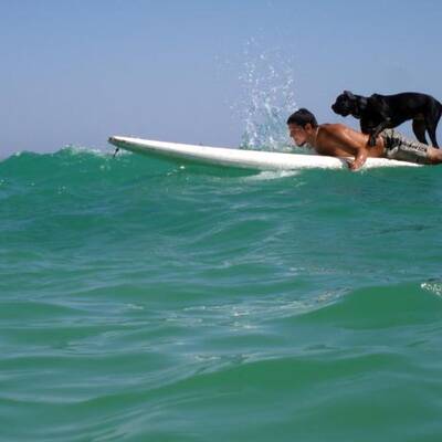 Die schönsten Urlaubsfotos