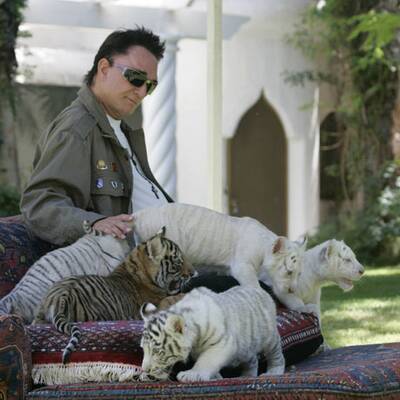 Fünf neue Tiegerbabys für Siegfried&Roy