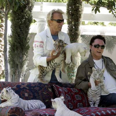 Fünf neue Tiegerbabys für Siegfried&Roy