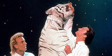 Siegfried & Roys "Killer-Tiger" verstorben