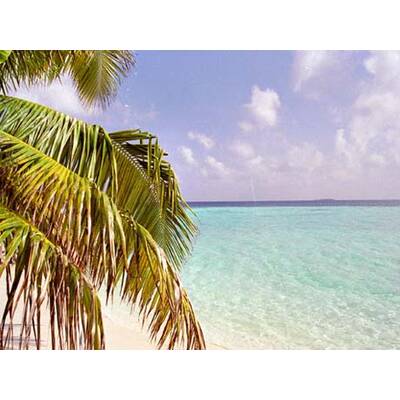 Die romantischsten Fotos