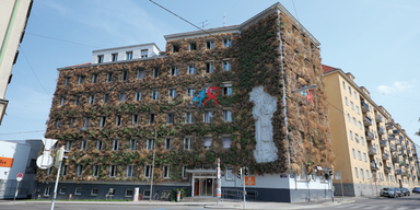 Wien lacht über Simas "Grünes Haus"