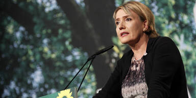 Deutsche Gr&uuml;ne: &Ouml;sterreich kein Vorbild