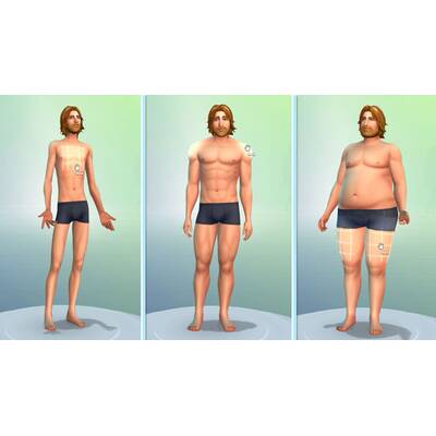 Die Sims 4