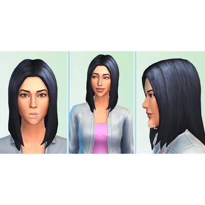 Die Sims 4