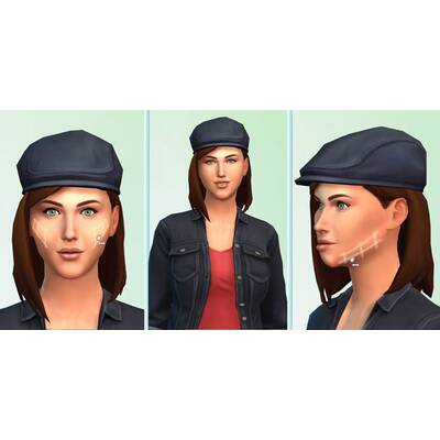 Die Sims 4