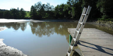 Jagd auf Monster-Schildkröte in Bayern 