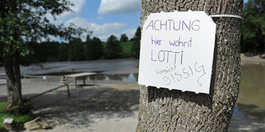 Jagd auf Monster-Schildkröte in Bayern 