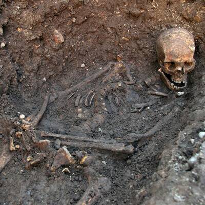 Königliches Skelett