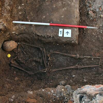 Königliches Skelett