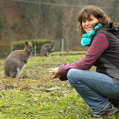 Skipper ist wieder daheim