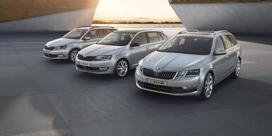 Skoda macht Fabia und Octavia günstiger