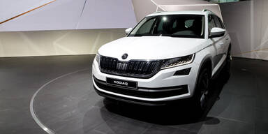 Skoda Kodiaq startet zum Kampfpreis