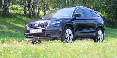 Skoda Kodiaq 4x4 Style TDI DSG im Test