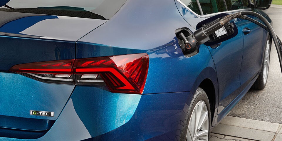 Neuer Skoda Octavia kommt auch als G-Tec