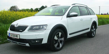 Der Skoda Octavia Scout TSI im Test