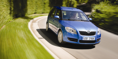 Überblick über die beliebtesten heimischen Vans