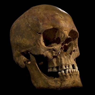 Königliches Skelett