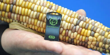 Die skurrilsten Neuheiten der CeBIT