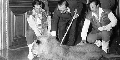 Neue Online-Plattform f&uuml;r Wiener Geschichte