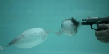 Pistolenschuss unter Wasser!