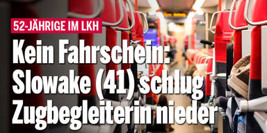 Kein Fahrschein: Slowake (41) schlug Zugbegleiterin nieder