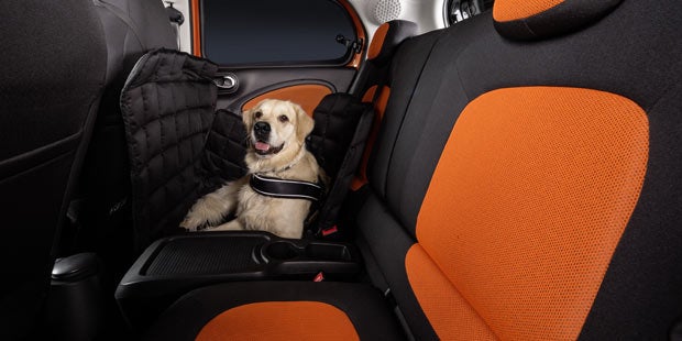 Trick macht Smart Hunde-tauglich