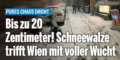 Bis zu 20 Zentimeter! Schneewalze trifft jetzt Wien mit voller Wucht