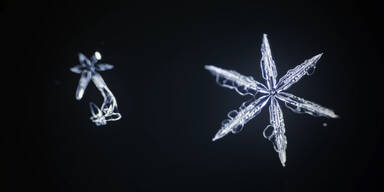 Mikroskop: so wachsen Schneeflocken