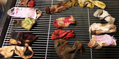 Dänische Dogge frisst 43 Socken