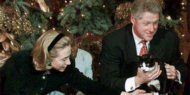 Ehemalige Präsidentenkatze Socks gestorben