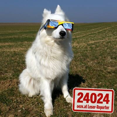 So sehen oe24-Leser die Sonnenfinsternis