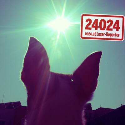 So sehen oe24-Leser die Sonnenfinsternis