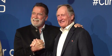 soicety arnie auktion.png