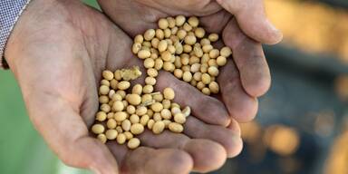 Fiber-Maxxing: Warum H&uuml;lsenfr&uuml;chte aus &Ouml;sterreich mit AMA-G&uuml;tesiegel im Trend liegen