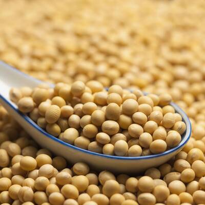 Austern haben einen hohen Anteil von Zink. Zink moduliert das bei Allergien fehlgeleitete Immunsystem.