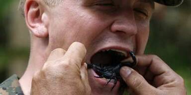 Soldaten essen gegrillte Skorpione