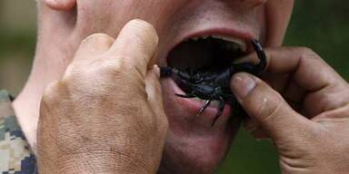 Soldaten essen gegrillte Skorpione